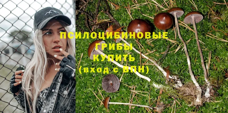 MEGA   Новомичуринск  Псилоцибиновые грибы MAGIC MUSHROOMS 